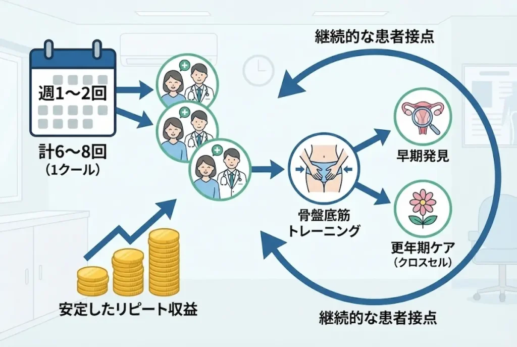 婦人科クリニック経営におけるリピート収益の安定化と定期通院による売上向上のイメージ