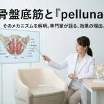 骨盤底の腱や筋肉にアプローチするトレーニングチェア pelluna（ペルーナ）